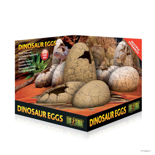 Exo Terra Dinosaur Eggs Chl51