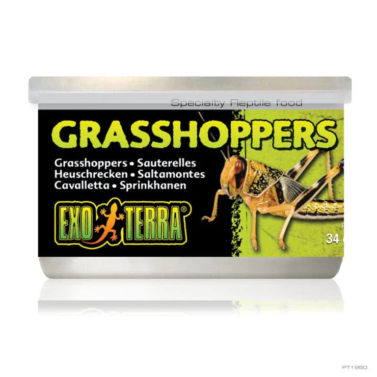 Exo-terra Wild Grasshoppers Sml 34g Rp90