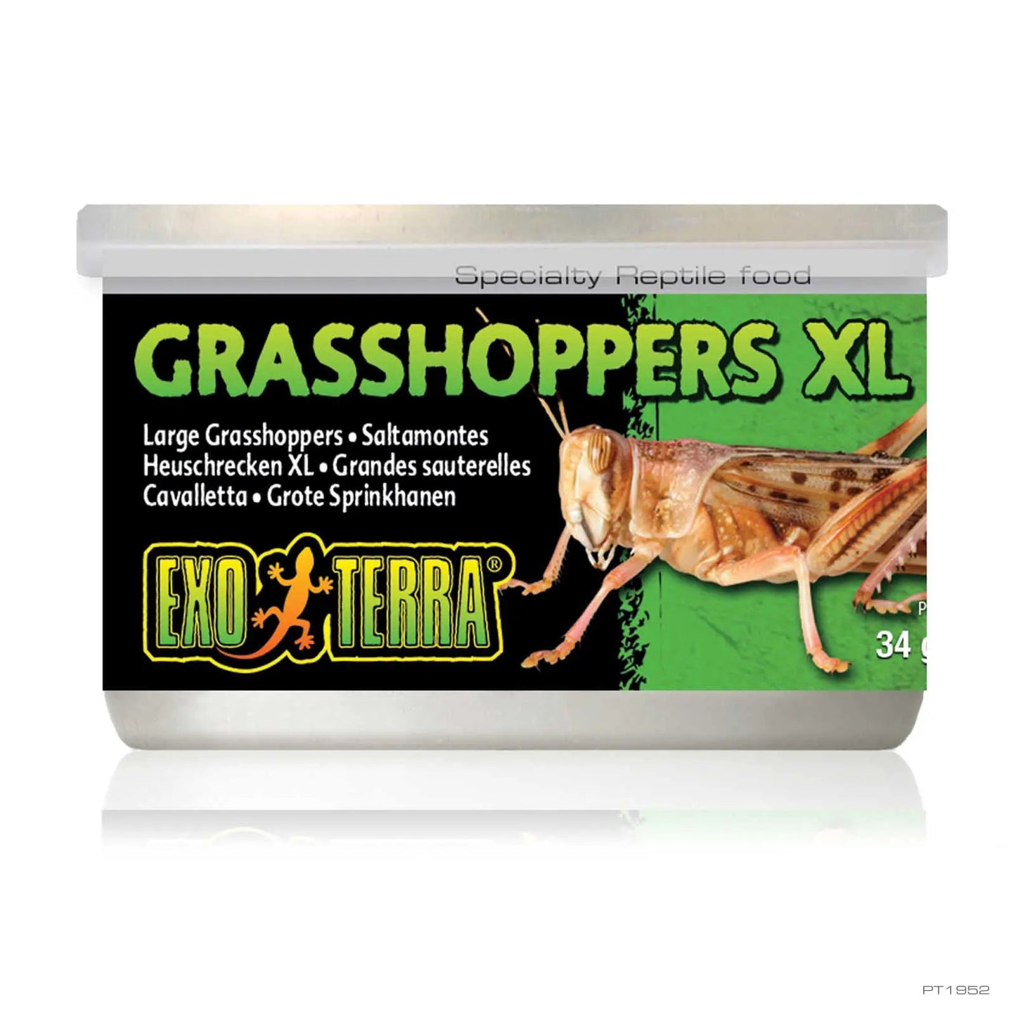 Exo-terra Wild Grasshoppers Xl 34g Rp92