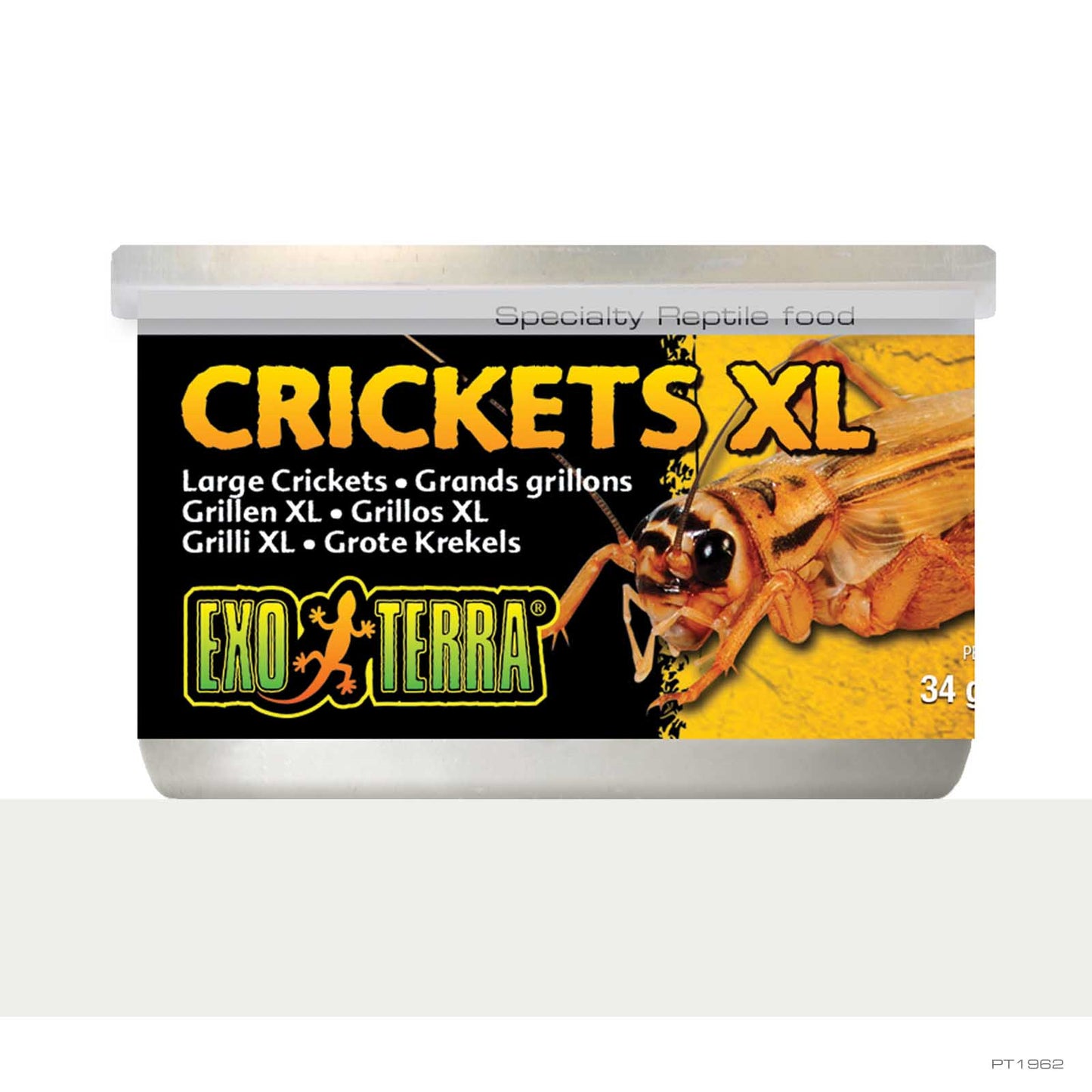 Exo Terra Crickets Xl 34g Rp102