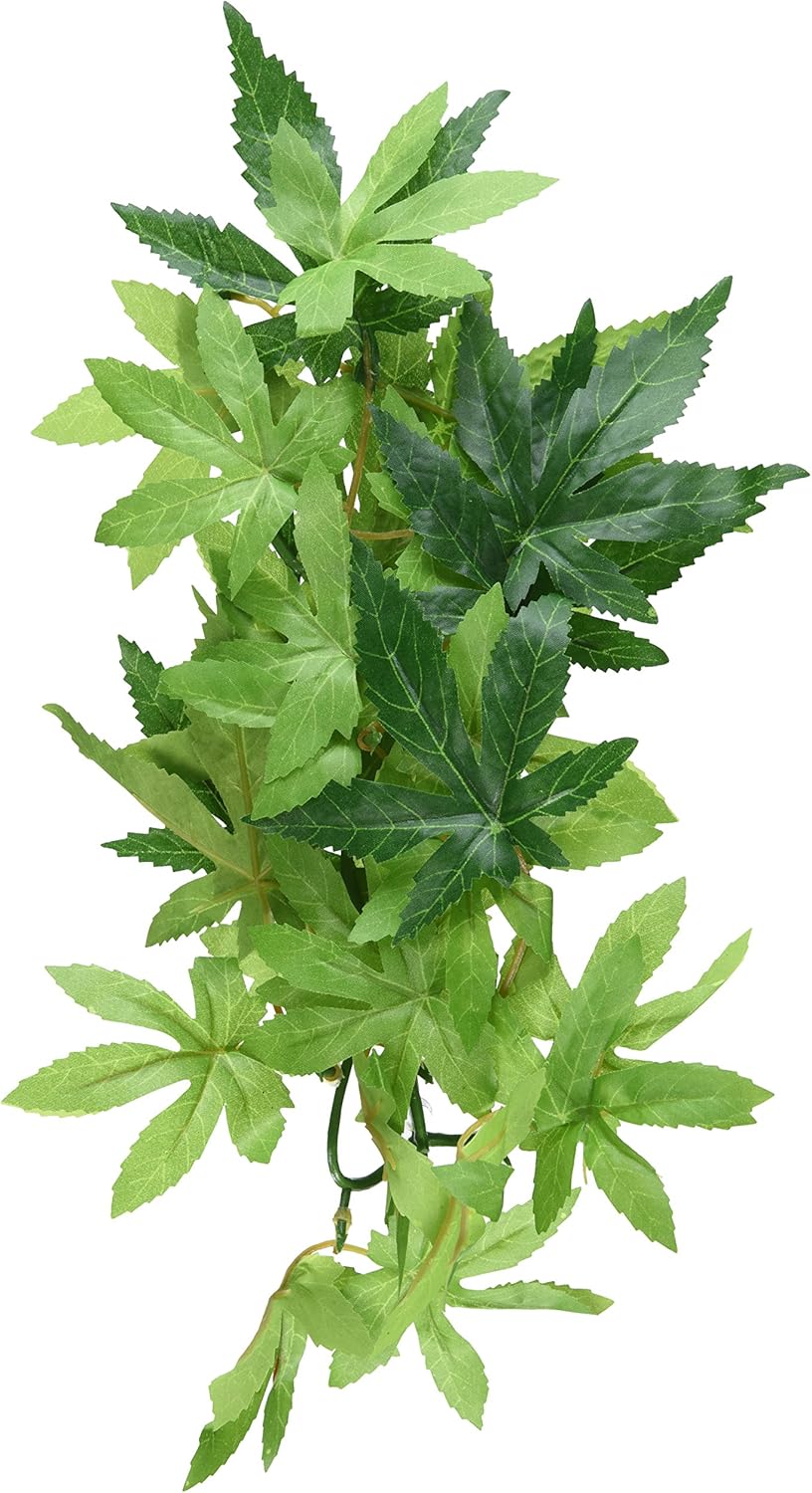 Exo Terra Forest Plant Abutilon Sml Rp60