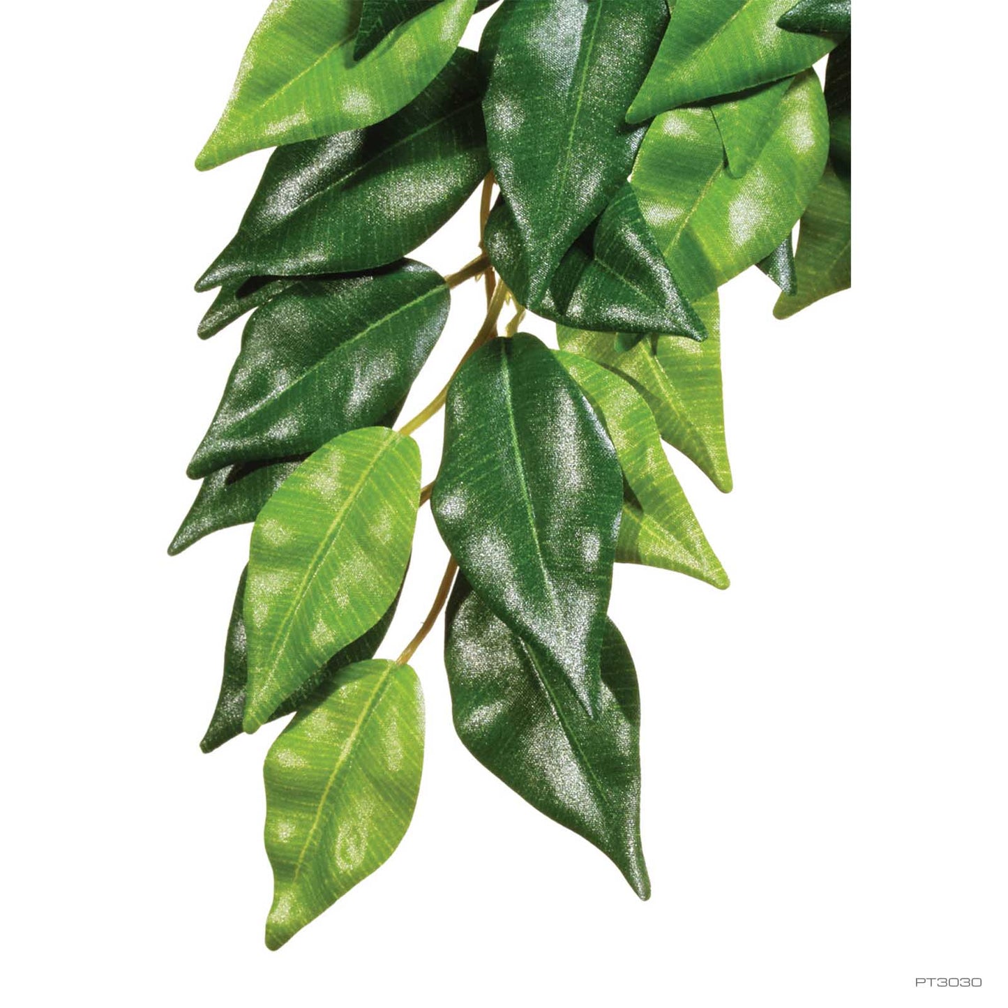 Exo Terra Forest Plant Ficus Small Rp58