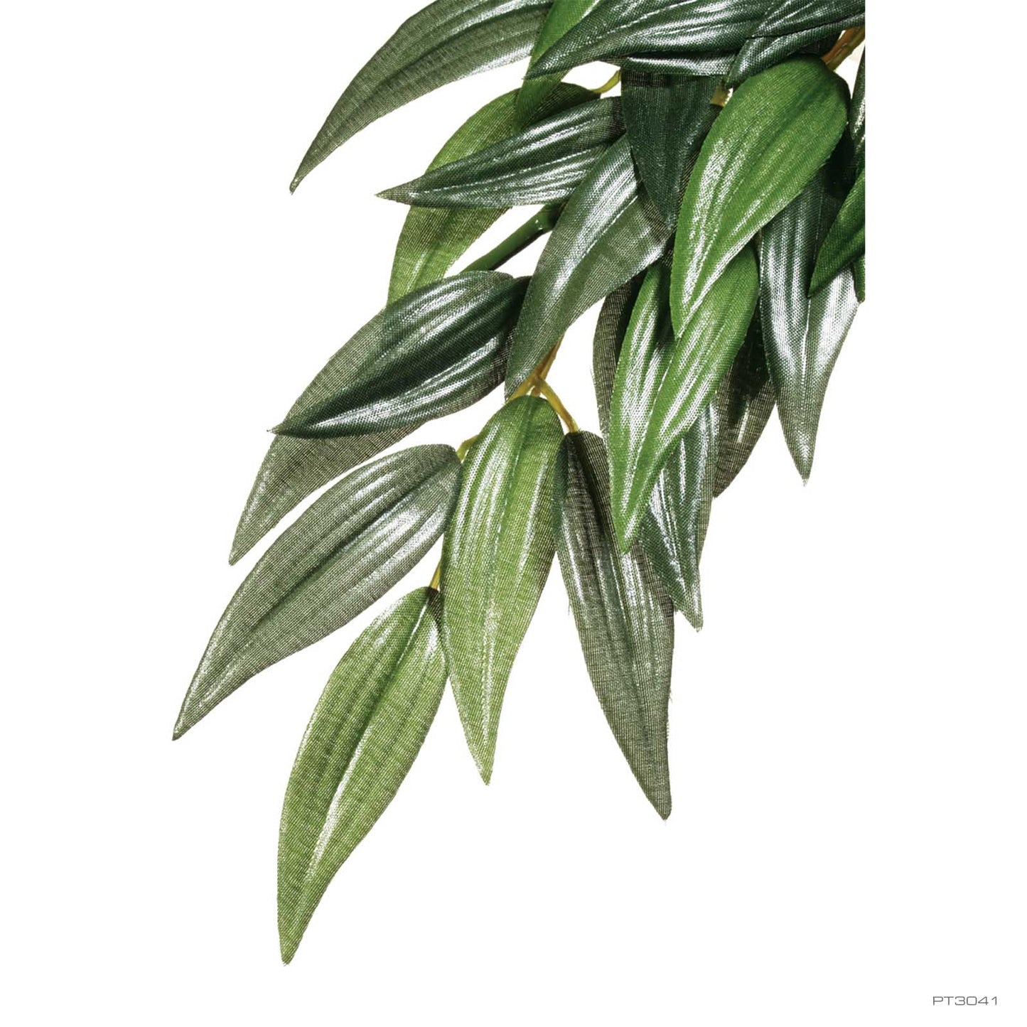 Exo Terra Forest Plant Rucus Med Rp62