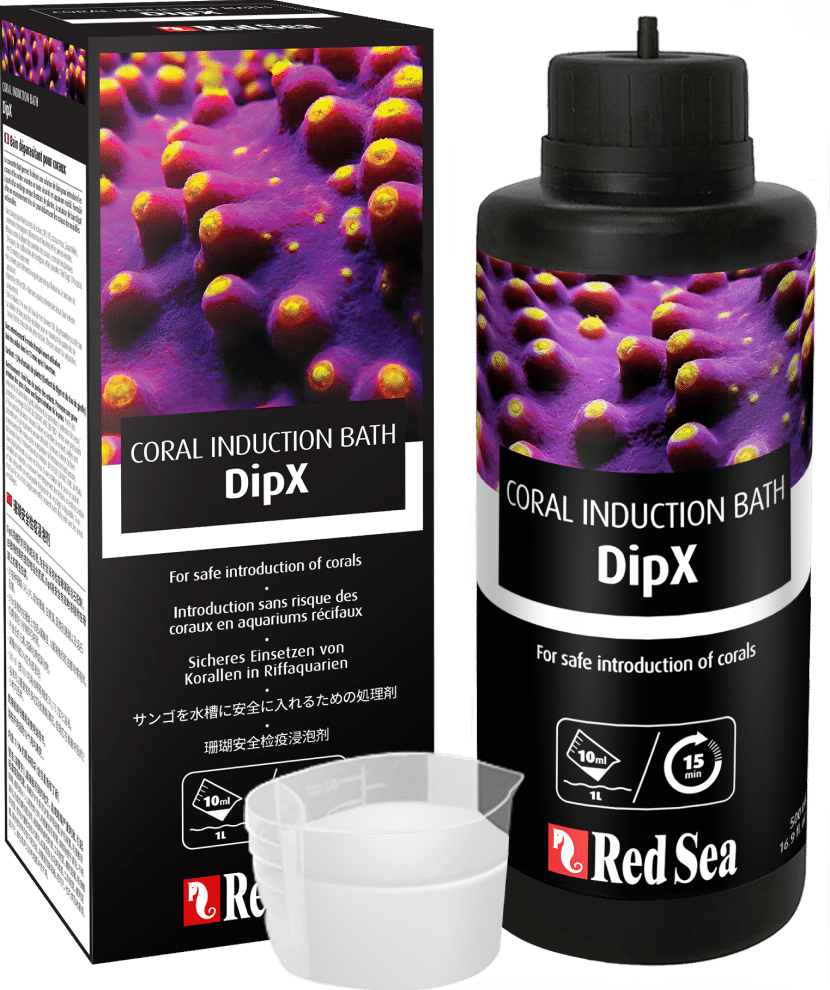 Dipx 100ml Red642