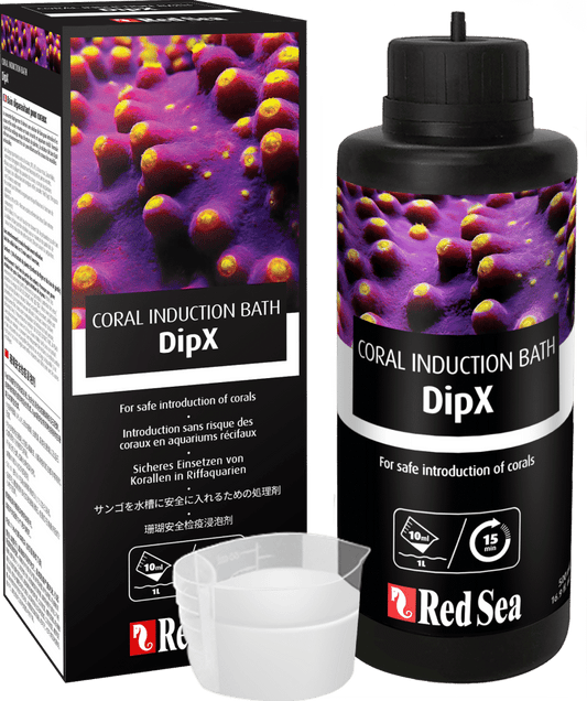 Dipx 100ml Red642