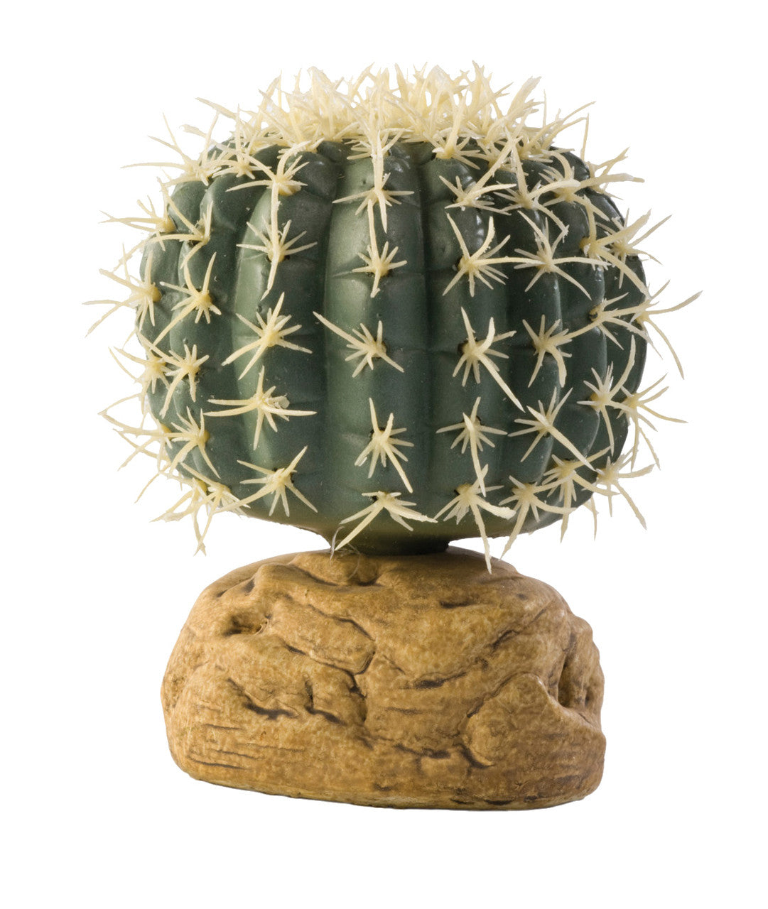 Barrel Cactus Small Rp165