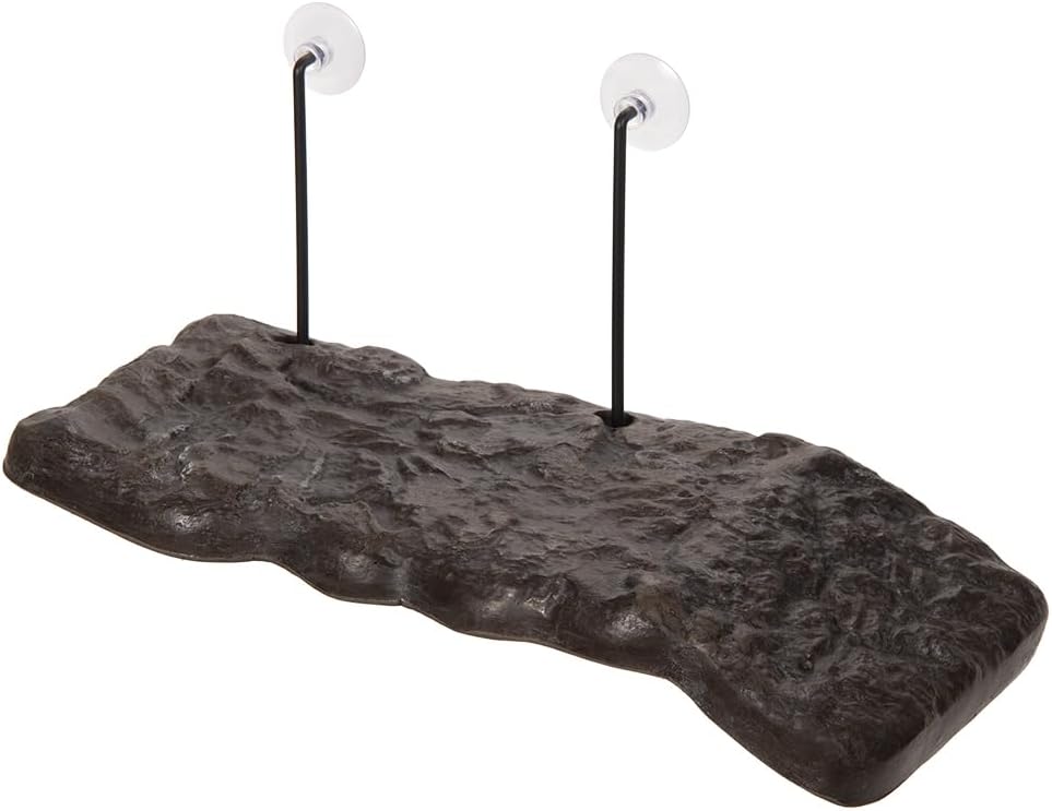Turtle Dock Medium - Zm205