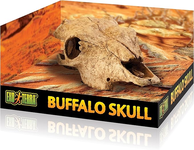 Exo Terra Buffalo Skull - Medium Chl49