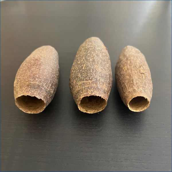 Cariniana Pods Car5