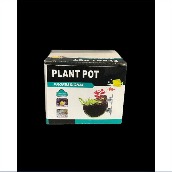 Glass Plant Pot